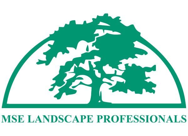 mse landscape